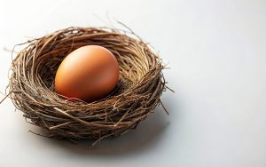 Egg in nest