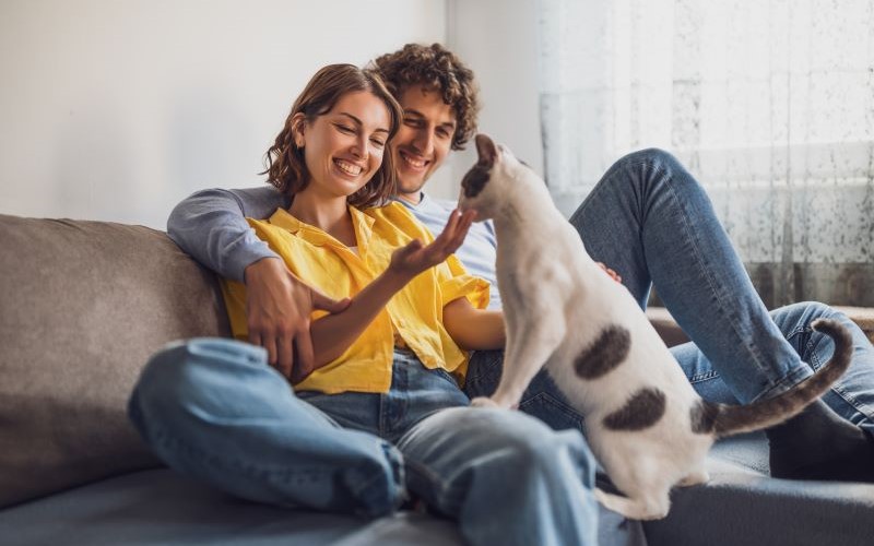 10 ways to combat Australia’s rising rents
