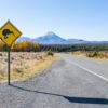 Property investing in NZ