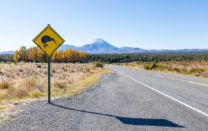 Property investing in NZ
