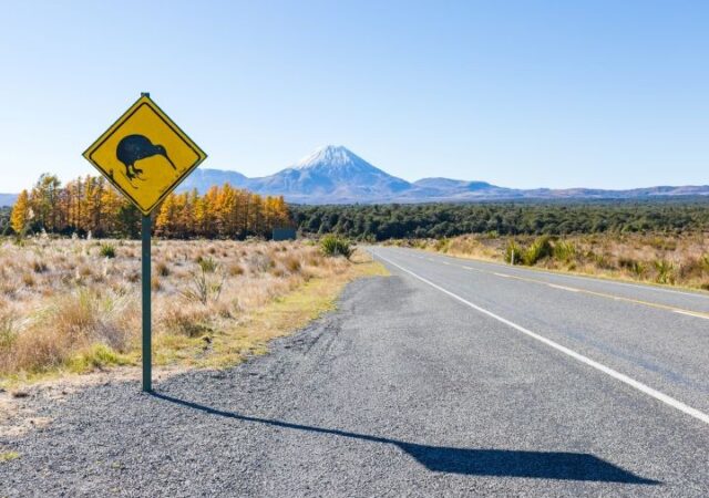 Property investing in NZ