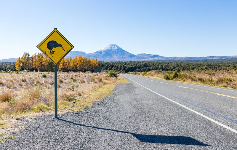 Property investing in NZ